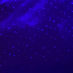 Meet your Posher, Gianna